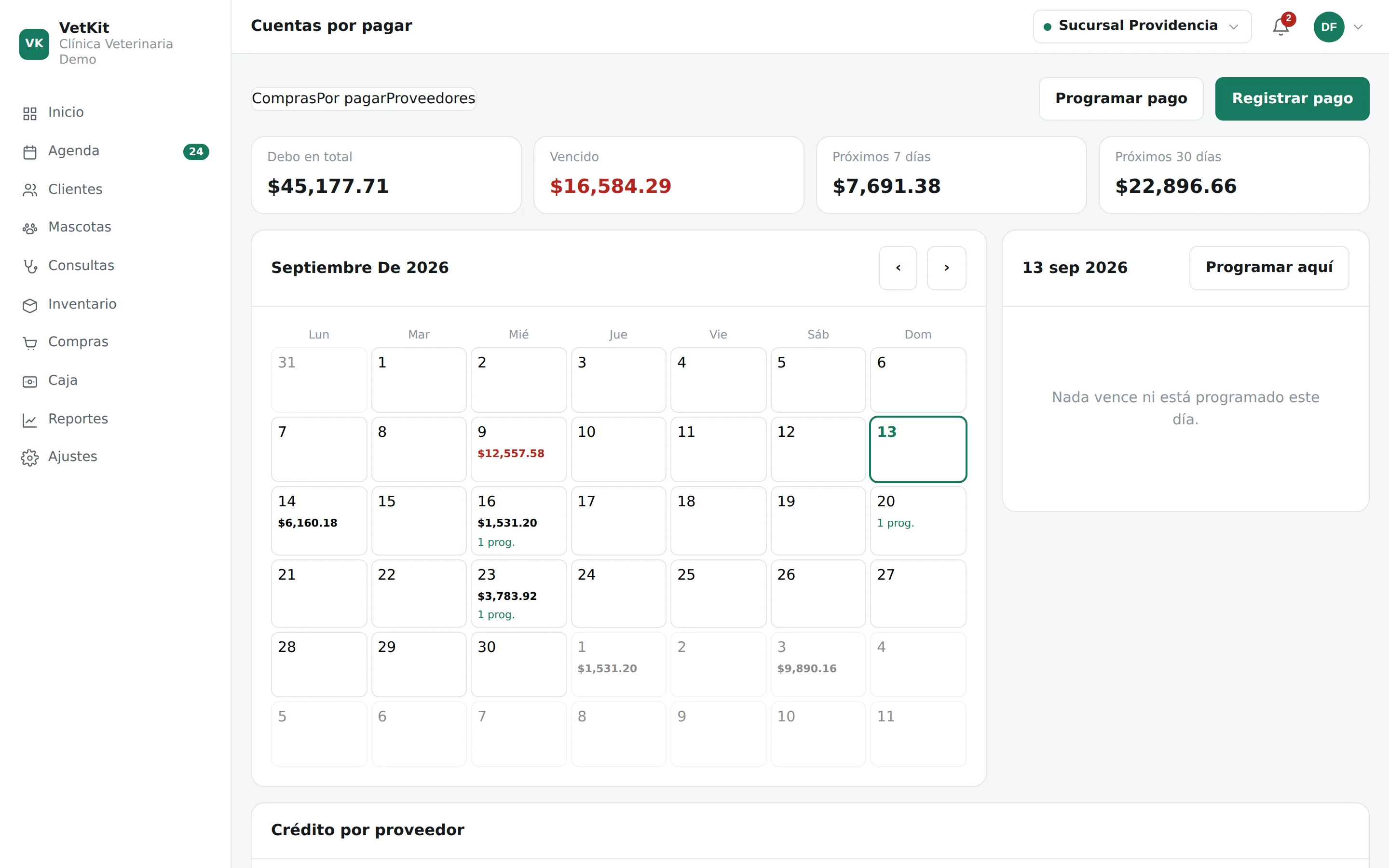 Cuentas por pagar a proveedores con calendario de vencimientos en VetKit